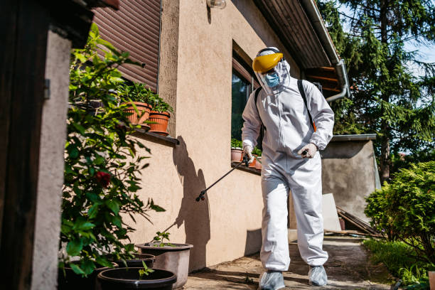 Best Exterminator Services  in Akron, IA