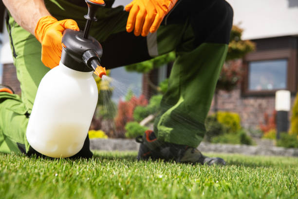 Best Wasp Removal Services  in Akron, IA