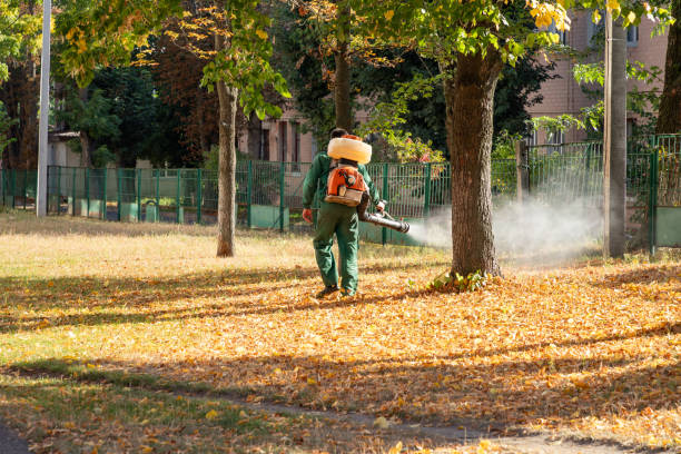 Pest Control for Restaurants in Akron, IA