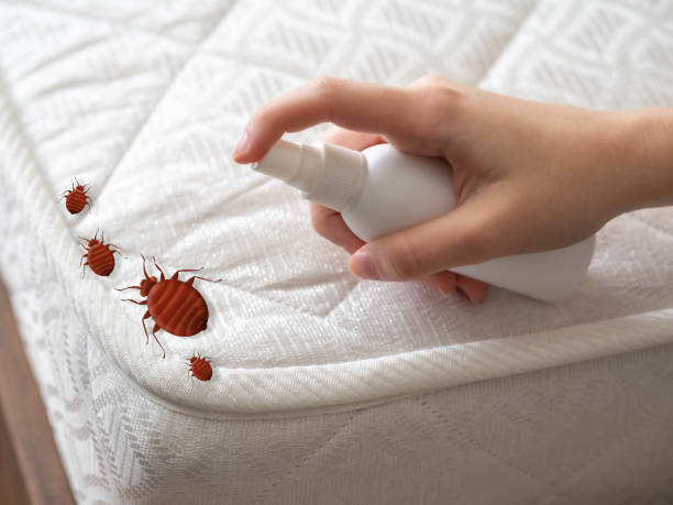 Best Residential Pest Control  in Akron, IA